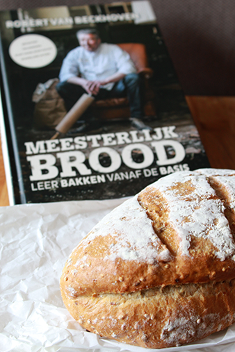 robert brood